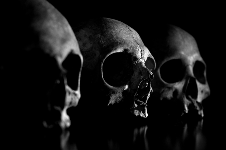 programme-2023-epinal-tattoo-exposition-dark-arts