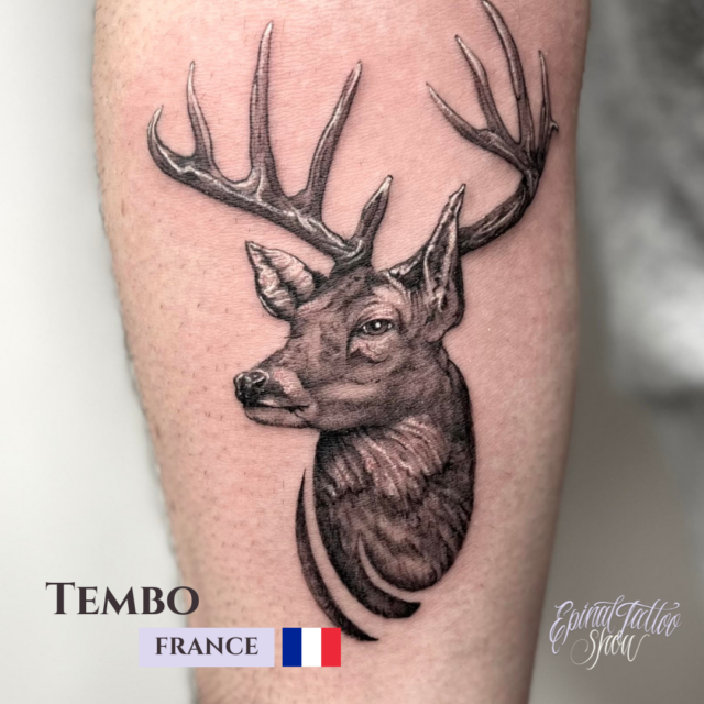 Tembo - AsatoStudioTattoo - France - 1