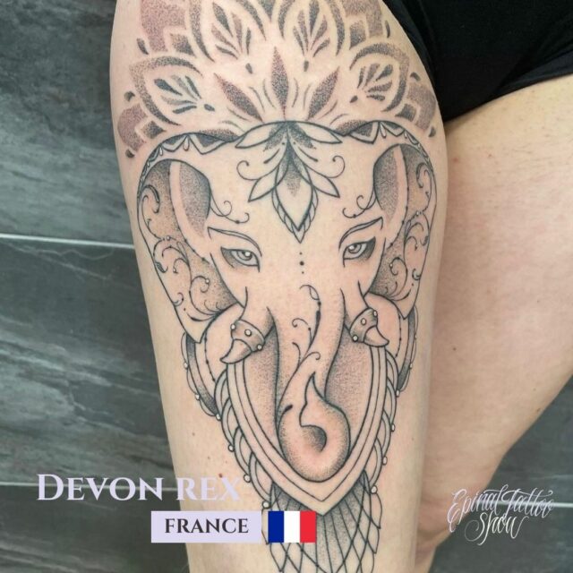 Devon rex - Zazen tattoo - France 2