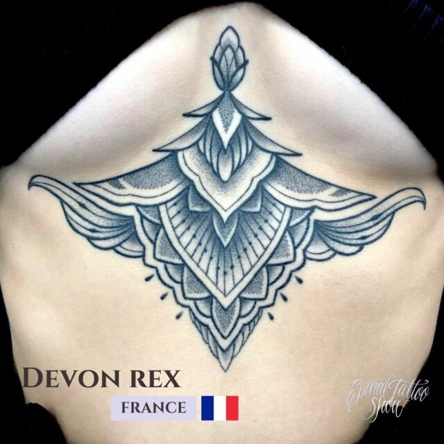 Devon rex - Zazen tattoo - France 3