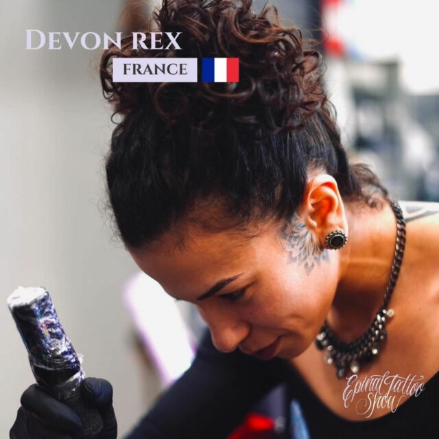 Devon rex - Zazen tattoo - France 4