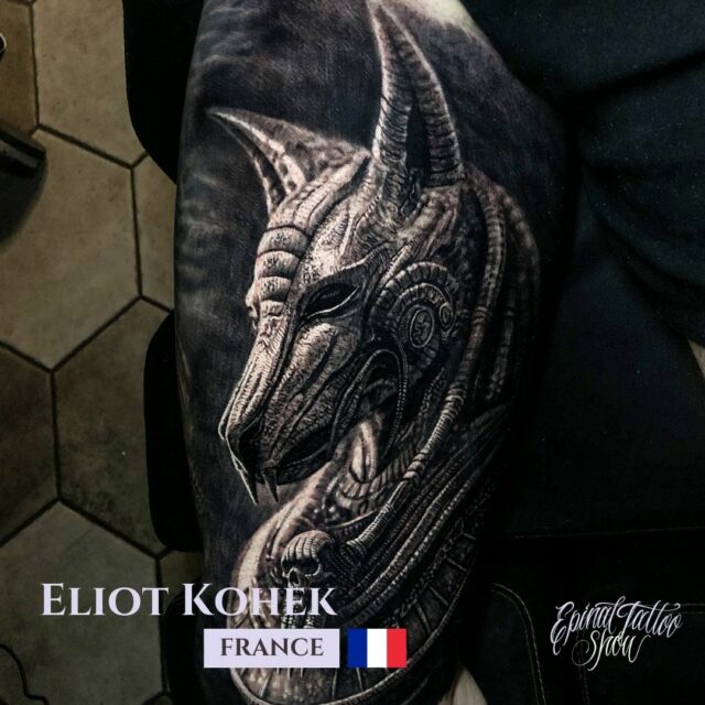 Eliot Kohek - Eliot Kohek - France (3)