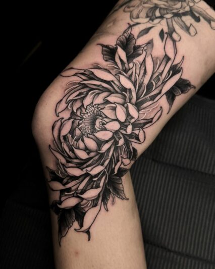 Hugo Smoll - France6