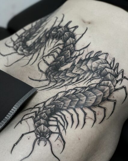 Lucette tattoo - France7