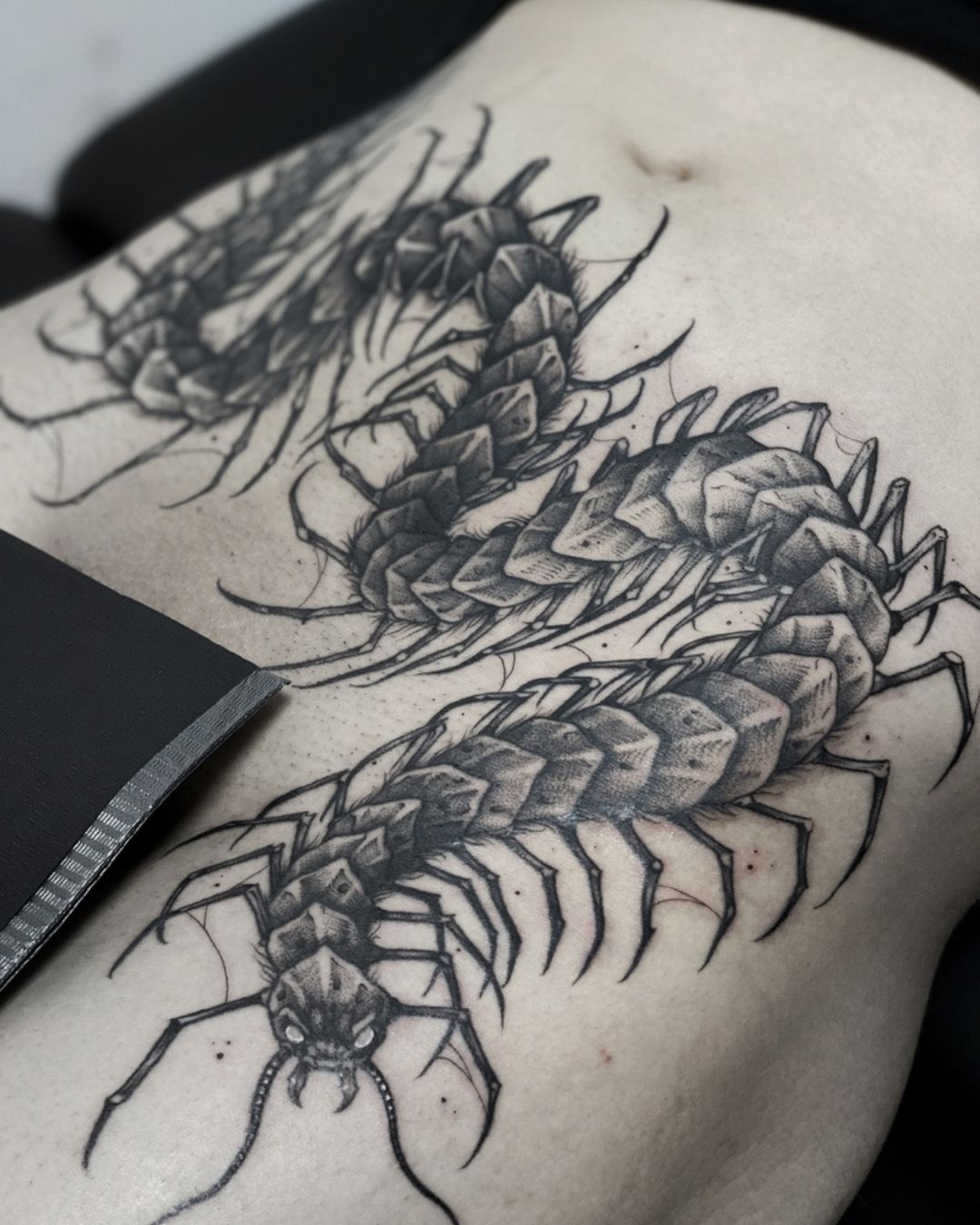 Lucette tattoo - France7