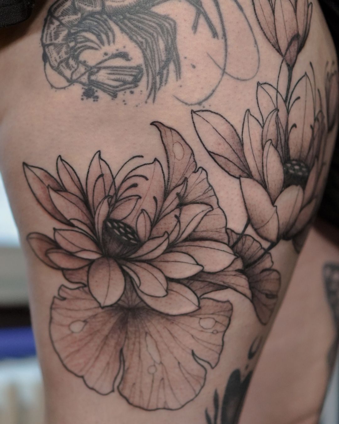 Anna Nebula - France7