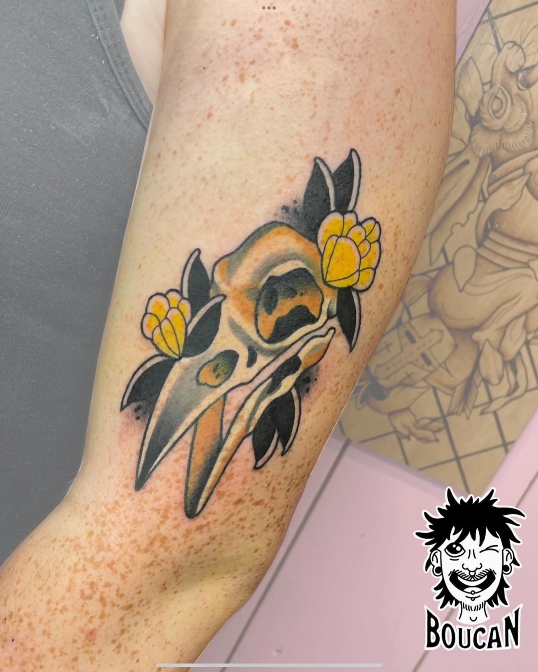 Boucan Des Aiguilles7