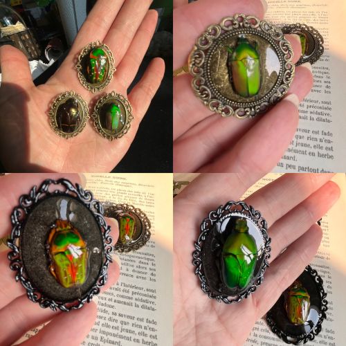 Curiosis-epinal-tattoo-show-2026-2