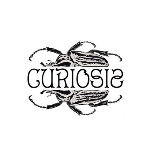 Curiosis-epinal-tattoo-show-2026
