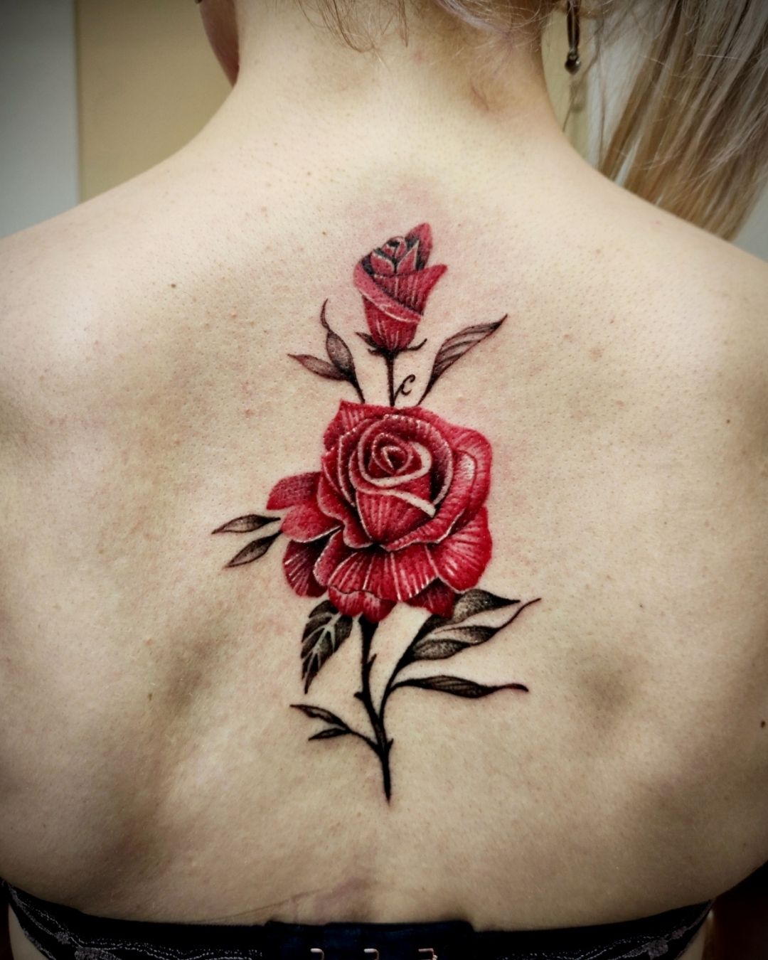 Ivan Pastor - France7