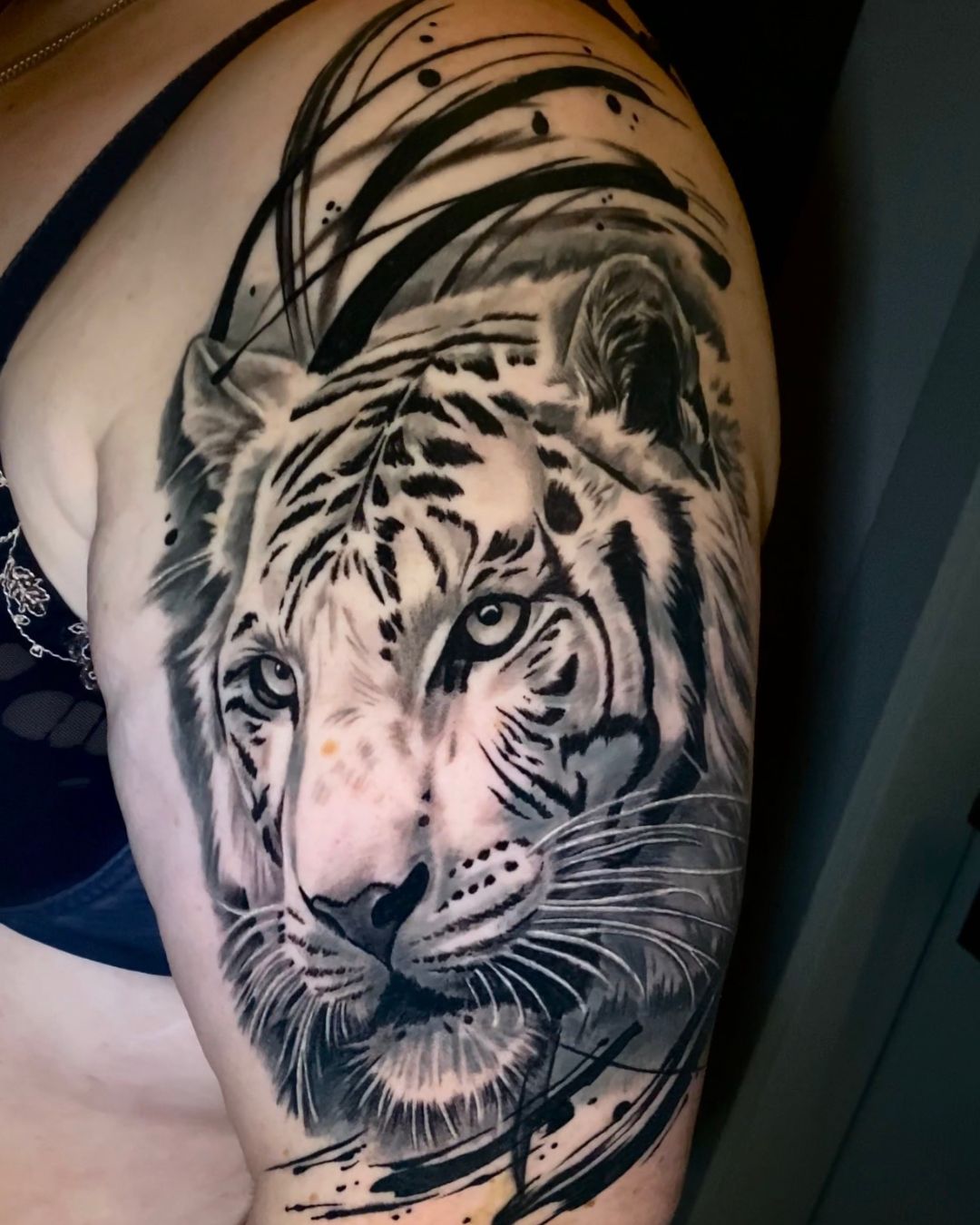 Roduit David - Suisse8