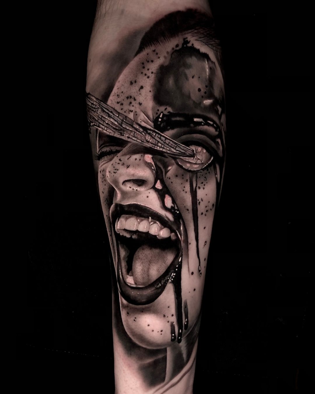 Thomas DHT - France7