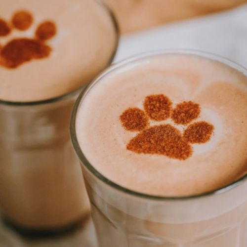 columbus-cafe-epinal-tattoo-show-2026 (3)